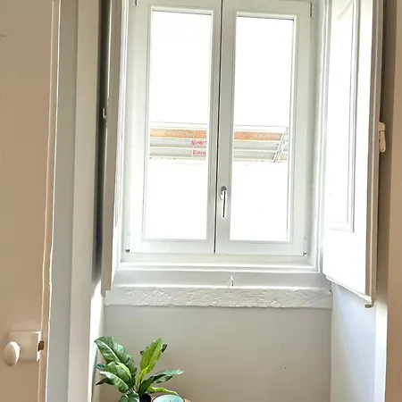Charming Flat In Pretty Praca Flores 2 Bedrooms Apartamento *